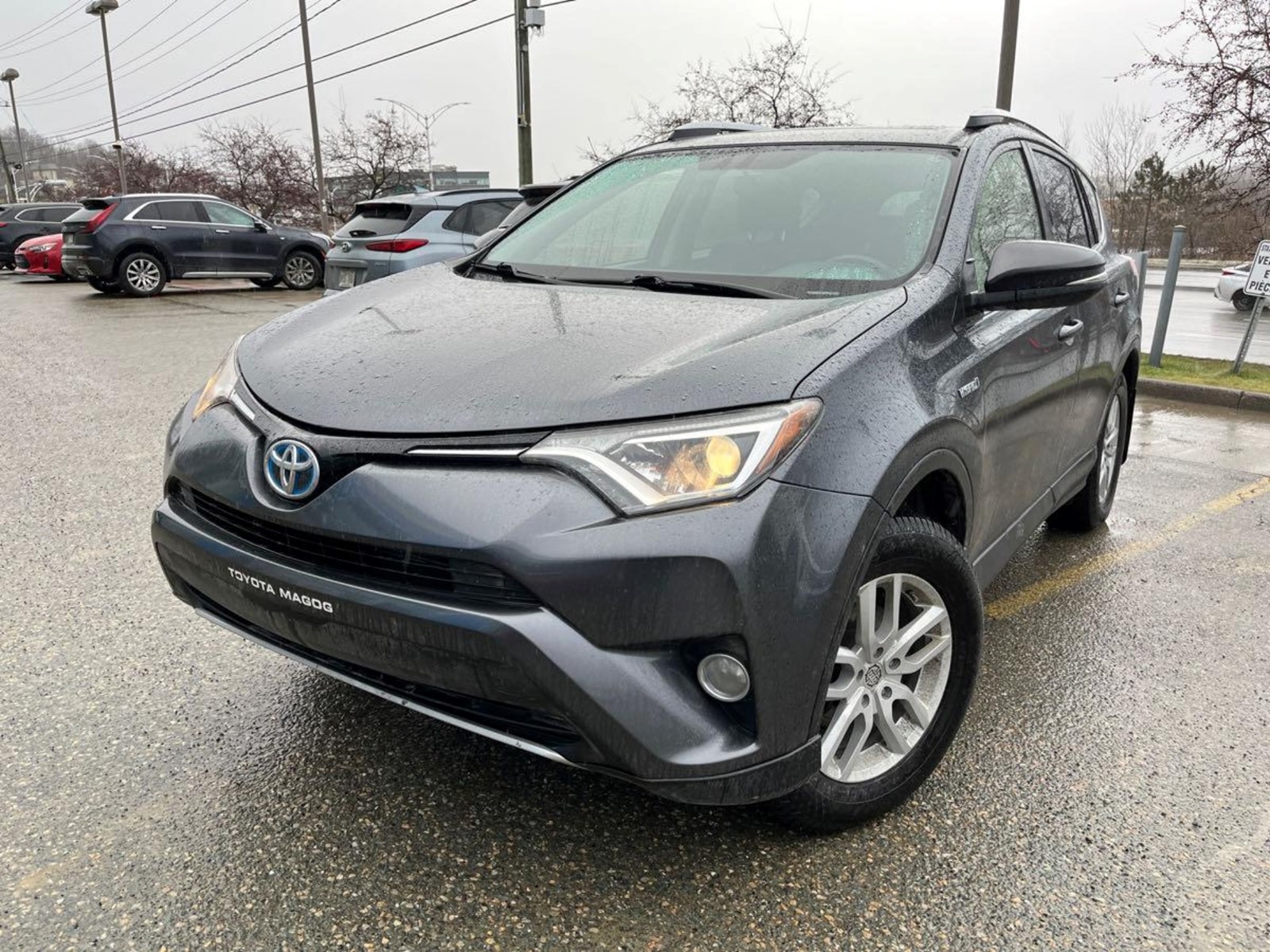 Photo of 2016 Toyota RAV4 Hybrid XLE  for sale at Carstead Motor Trends in Cobourg, ON