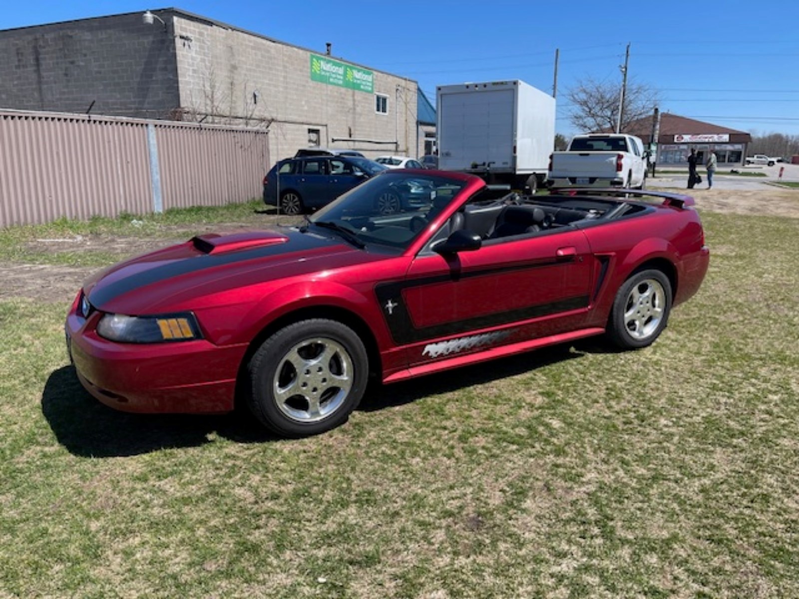 Photo of 2003 Ford Mustang Premium  for sale at Carstead Motor Trends in Cobourg, ON
