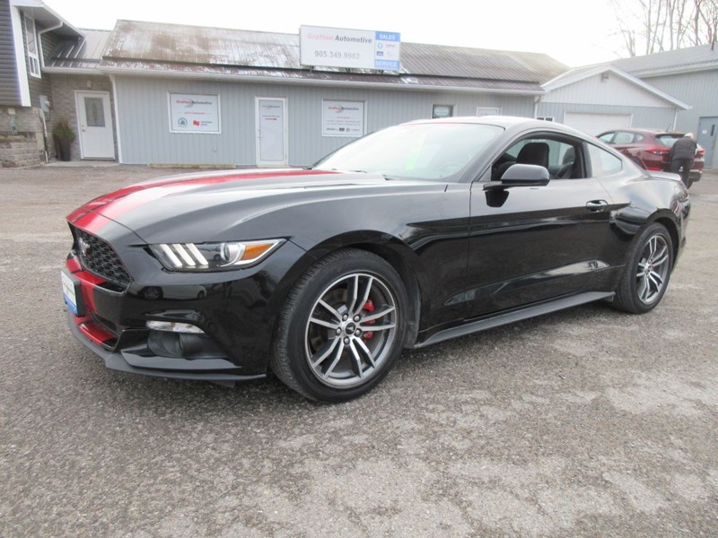 Photo of  2015 Ford Mustang V6  for sale at Grafton Automotive in Grafton, ON