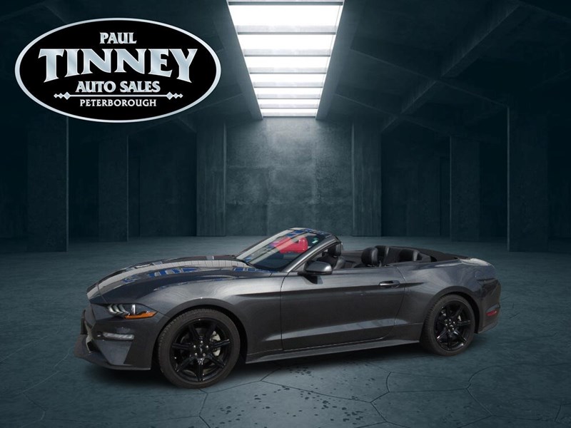 Photo of  2019 Ford Mustang   for sale at Paul Tinney Auto in Peterborough, ON