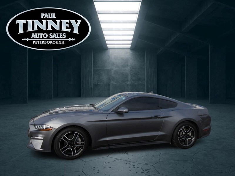 Photo of  2021 Ford Mustang   for sale at Paul Tinney Auto in Peterborough, ON