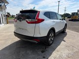 2019 Honda CR-V LX photo 3