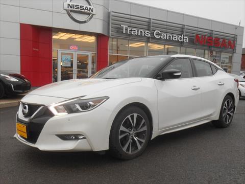 Photo of  2016 Nissan Maxima 3.5 SL for sale at Trans Canada Nissan in Peterborough, ON