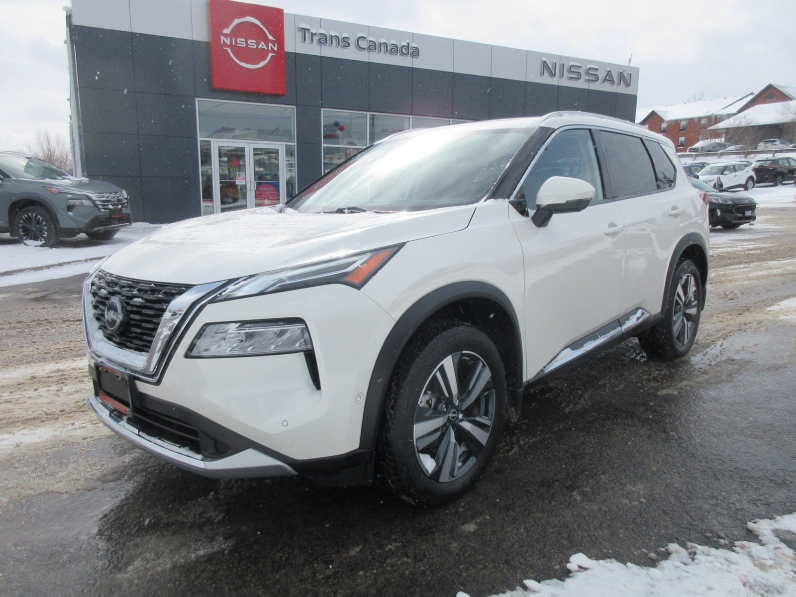 Photo of 2023 Nissan Rogue Platinum AWD for sale at Trans Canada Nissan in Peterborough, ON