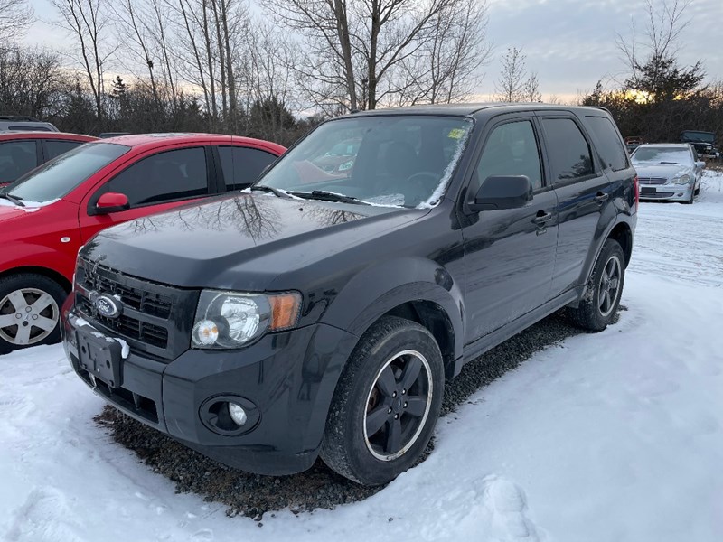 Photo of  2011 Ford Escape XLT  for sale at Basso Auto Sales in Peterborough, ON