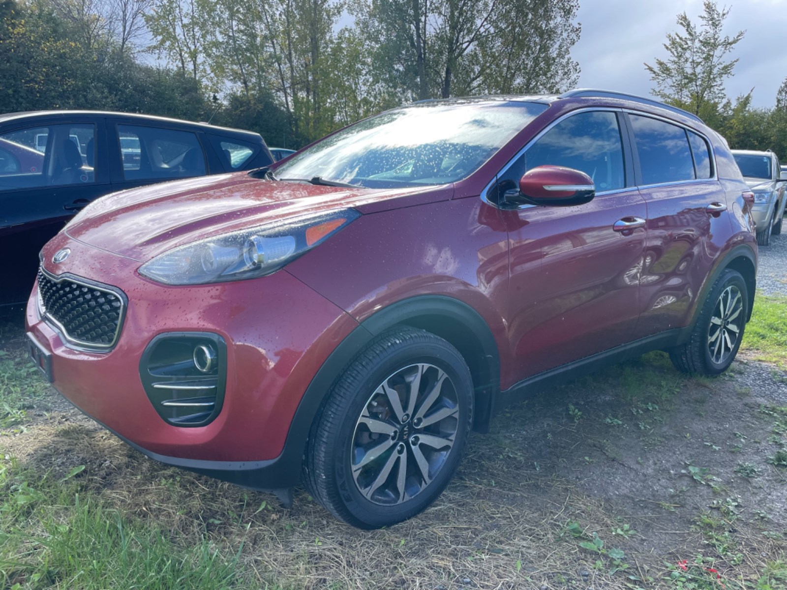 Photo of 2017 KIA Sportage EX  for sale at Basso Auto Sales in Peterborough, ON