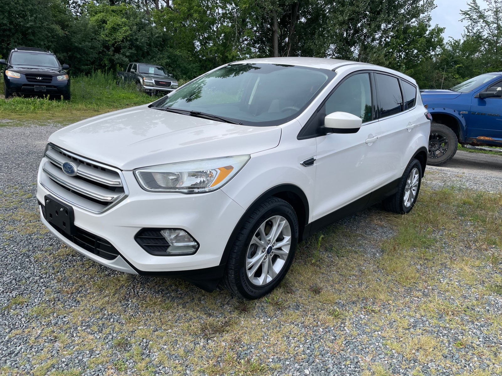 Photo of 2017 Ford Escape SE  for sale at Basso Auto Sales in Peterborough, ON