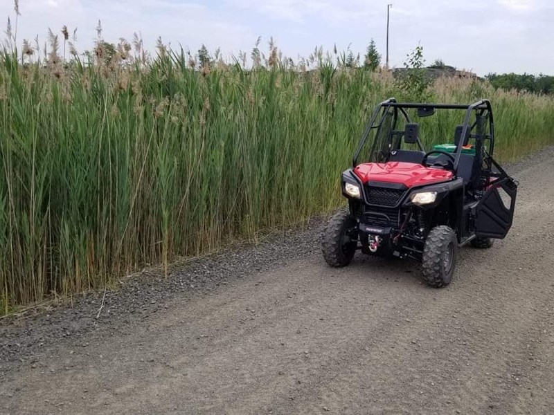 Photo of  2019 Honda Pioneer 500   for sale at Auto Connect Sales in Peterborough, ON