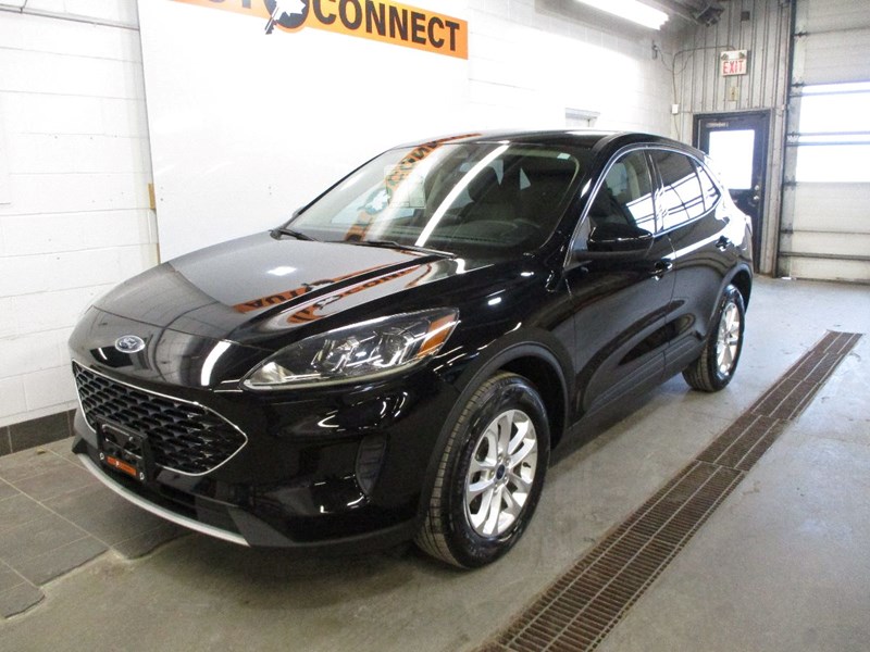 Photo of  2020 Ford Escape SE  for sale at Auto Connect Sales in Peterborough, ON