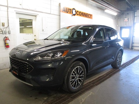 Photo of 2022 Ford Escape Plug-in Hybrid SE  for sale at Auto Connect Sales in Peterborough, ON