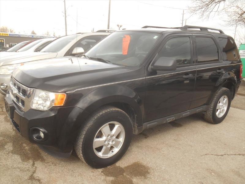 Photo of  2010 Ford Escape XLT  for sale at Paradise Auto Source in Peterborough, ON