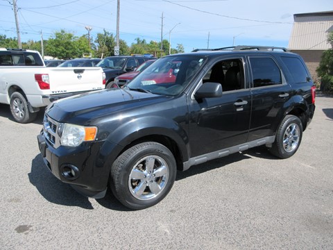 Photo of 2012 Ford Escape XLT 4WD for sale at Paradise Auto Source in Peterborough, ON