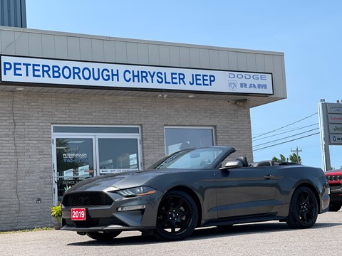 Photo of 2019 Ford Mustang Premium EcoBoost for sale at Peterborough Chrysler in Peterborough, ON