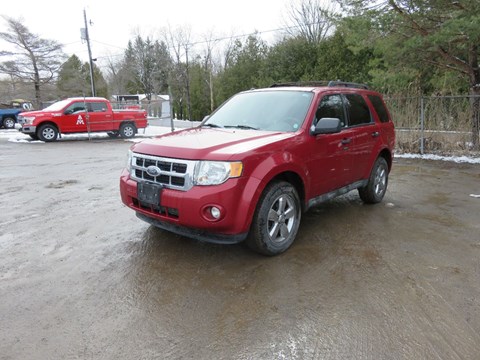 Photo of AsIs 2009 Ford Escape XLT V6 for sale at Kenny Peterborough in Peterborough, ON