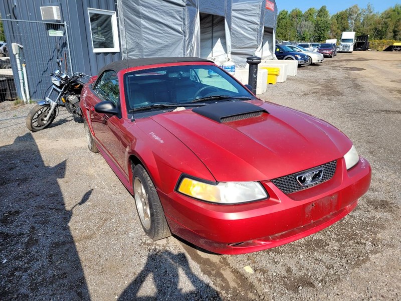 Photo of 2000 Ford Mustang   for sale at Kenny Peterborough in Peterborough, ON