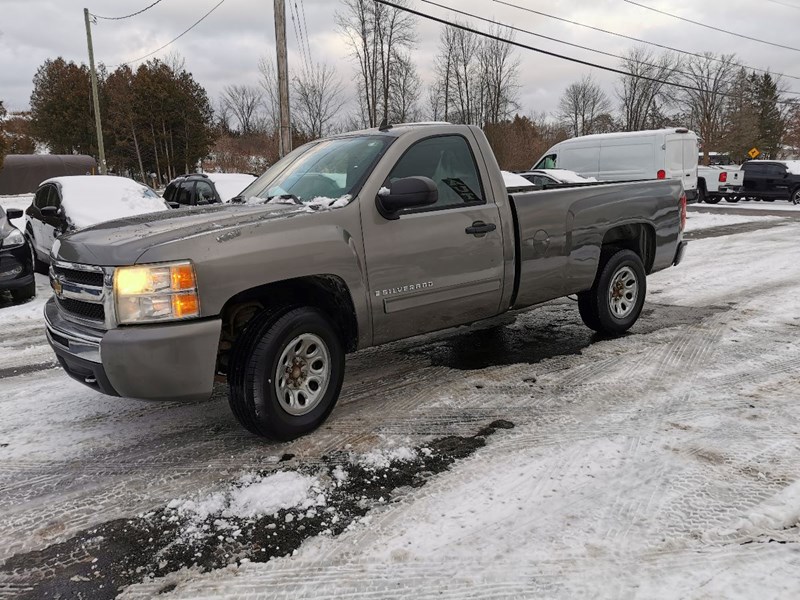 Photo of  2009 Chevrolet Silverado 1500 Work Truck Long Box for sale at Patterson Auto Sales in Madoc, ON
