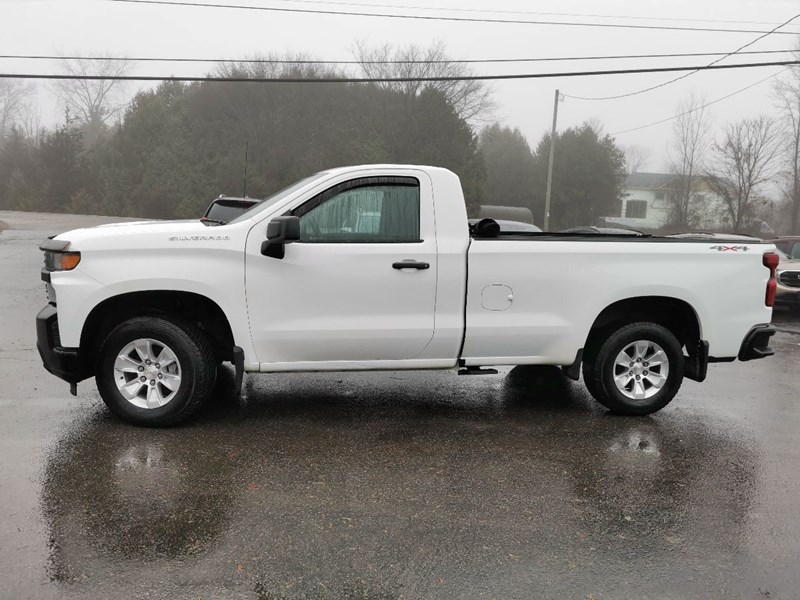 Photo of  2019 Chevrolet Silverado 1500 Work Truck Long Box for sale at Patterson Auto Sales in Madoc, ON