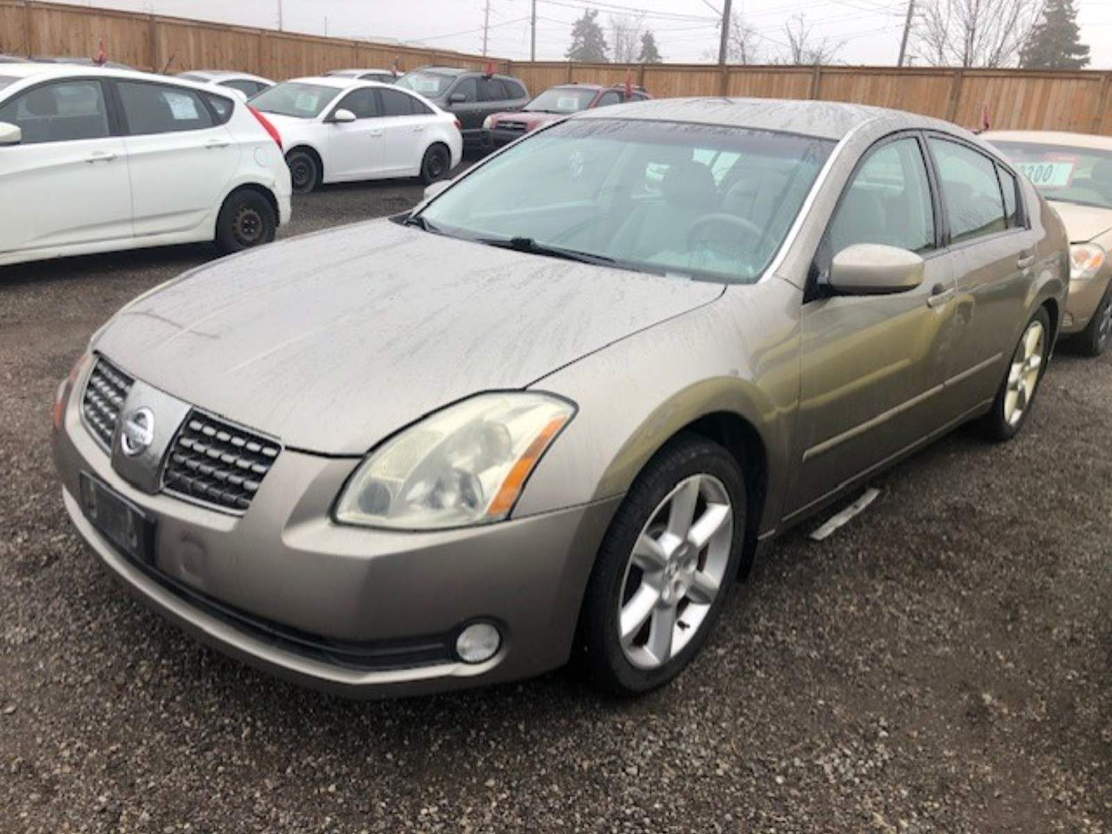 Photo of 2004 Nissan Maxima SE  for sale at Kenny Ajax in Ajax, ON