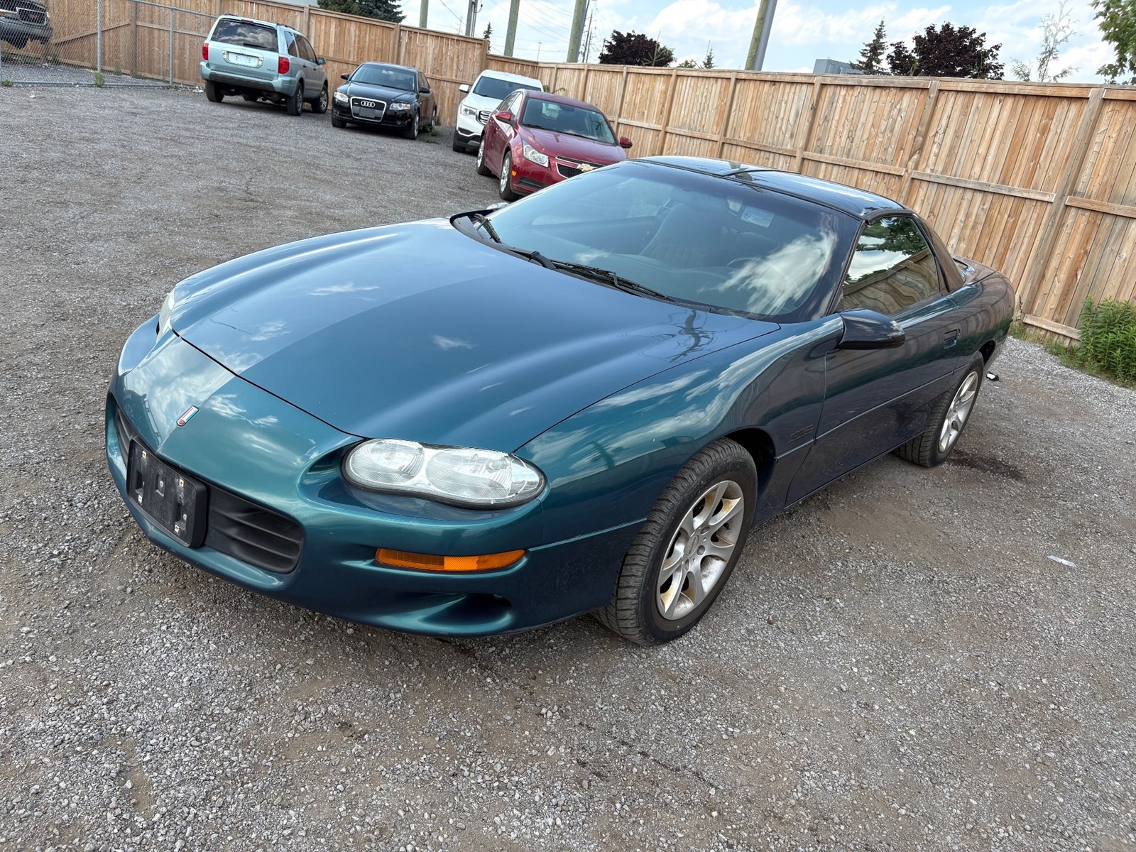 Photo of 1998 Chevrolet Camaro Z28  for sale at Kenny Ajax in Ajax, ON