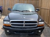 2003 Dodge Dakota Sport photo 2