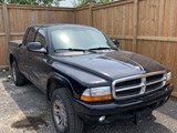 2003 Dodge Dakota Sport photo 3