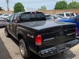 2003 Dodge Dakota Sport photo 4