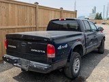 2003 Dodge Dakota Sport photo 6