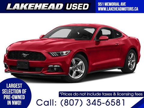  Used 2016 Ford Mustang    Lakehead Motors Ltd  Thunder Bay, ON