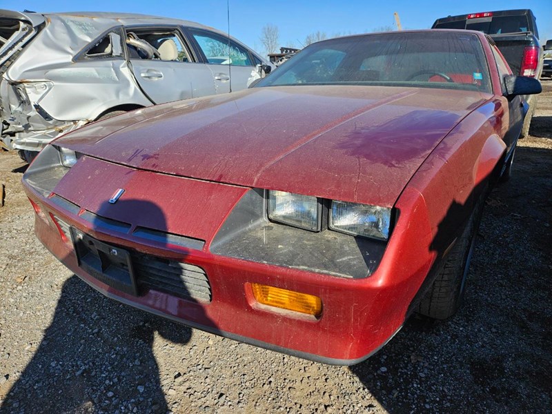 Photo of 1987 Chevrolet Camaro   for sale at Kenny London in London, ON
