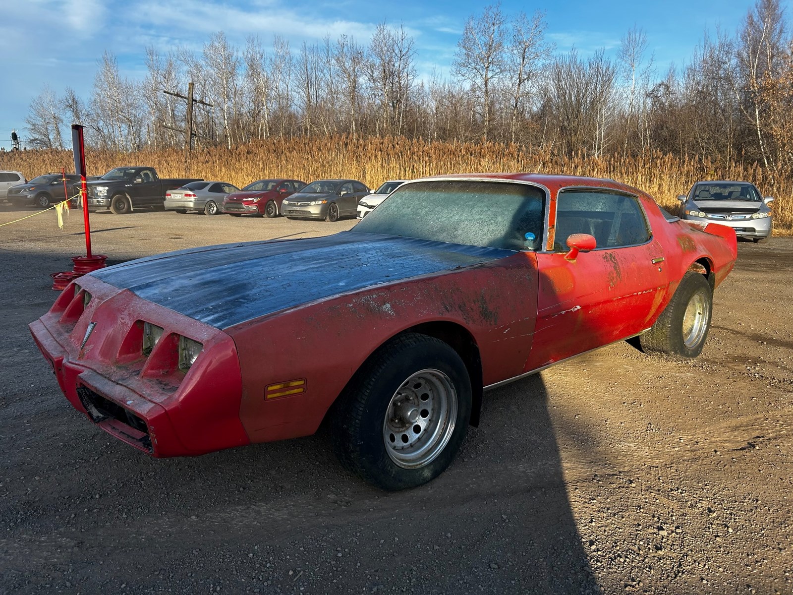 Photo of 1980 Pontiac Firebird   for sale at Kenny Saint-Lazare in Saint-Lazare, QC